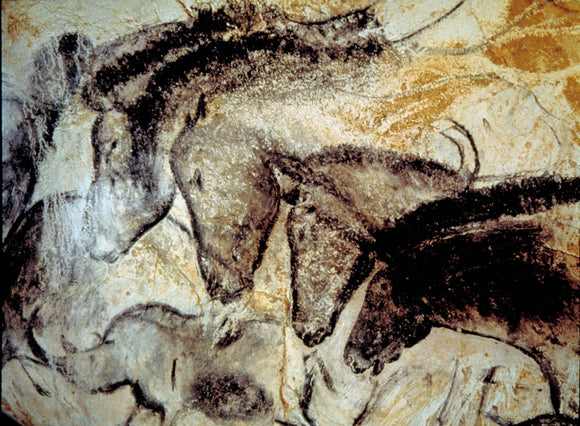 Horses at Chauvet Cave - Oldest Human Art! 18x24 on Canvas